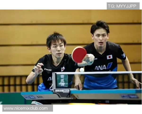 乒乓球深度:解密深圳乒乓球队的区域防守 乒乓球深度:解密深圳乒乓球队的区域防守